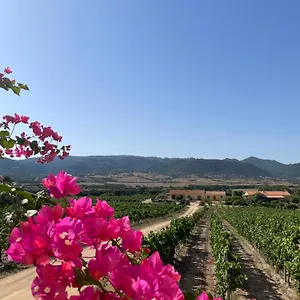 Bauernhof Campesi Casale Tra Le Vigne, Aglientu